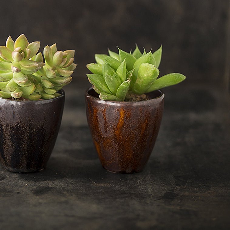 Botz Earthenware Glaze: Adventurine 9224 – Hot Clay