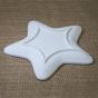 Bisque Star Plate - Small