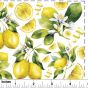 Lemons Overglaze Decal Sheet 