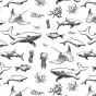Ocean Fish Underglaze Transfer Sheet 