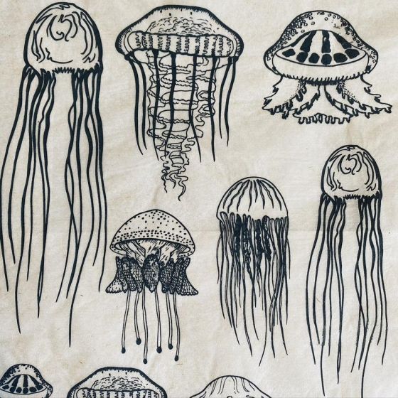 Jellyfish Underglaze Transfer Sheet - Black