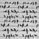 Birds on a wire Underglaze Transfer Sheet - Black