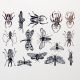 Botanical Insects Decal